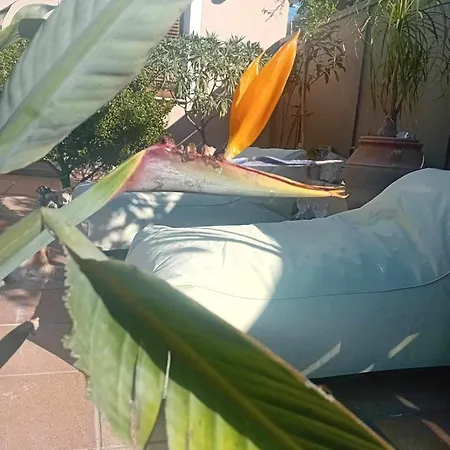 Holiday home Zabella House With Pool